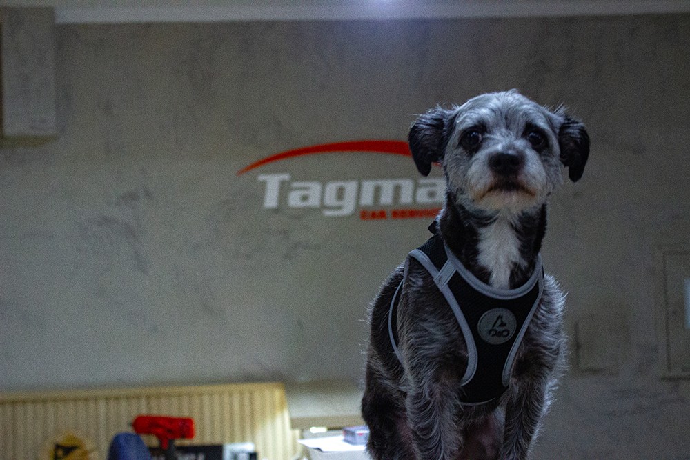imagens-site/empresa/img//tagma-car-servise-2026-59.png